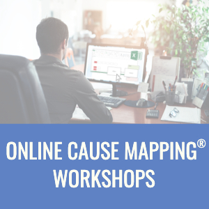 online-options-cause-mapping-workshops